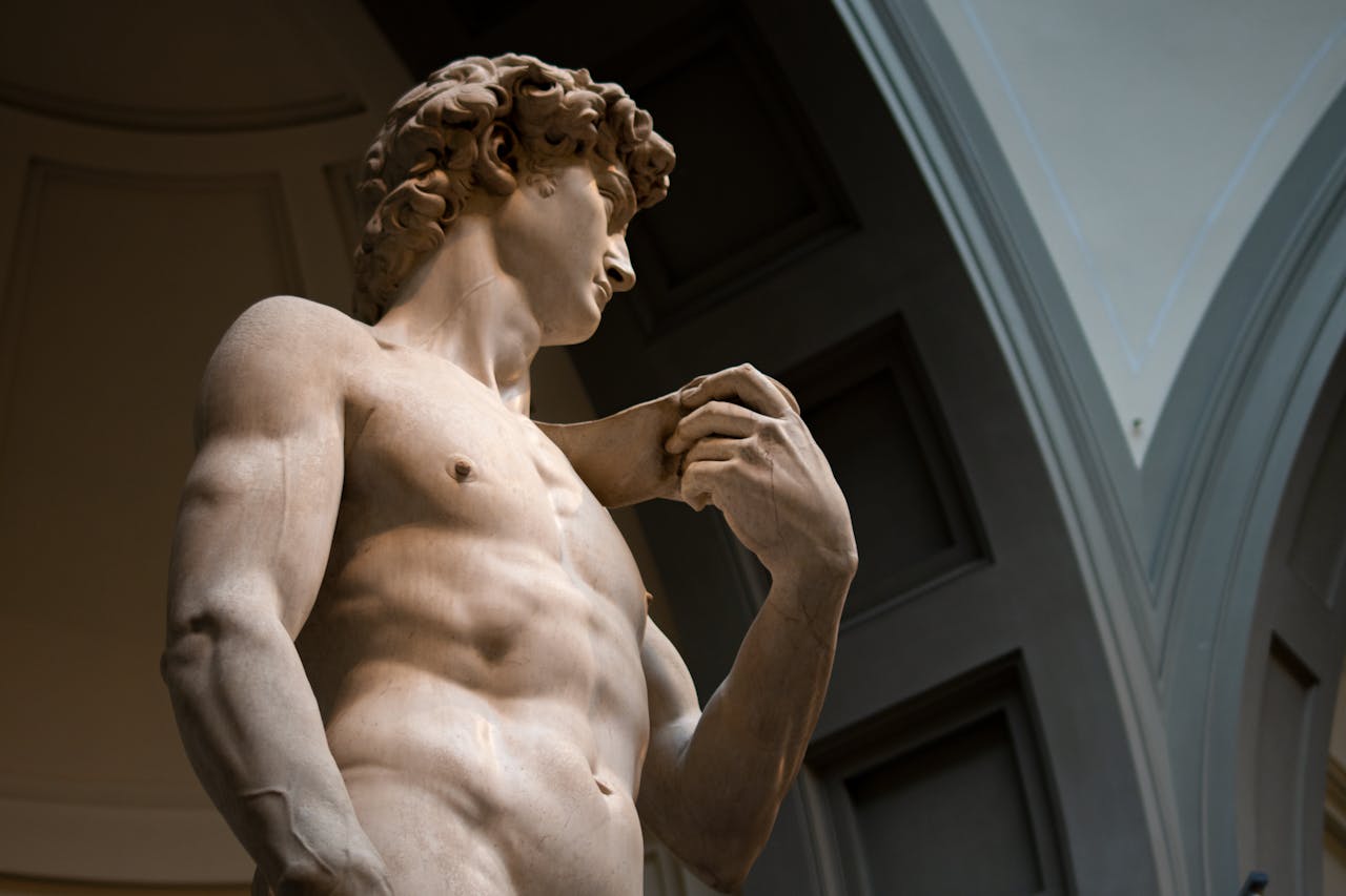 david di michelangelo